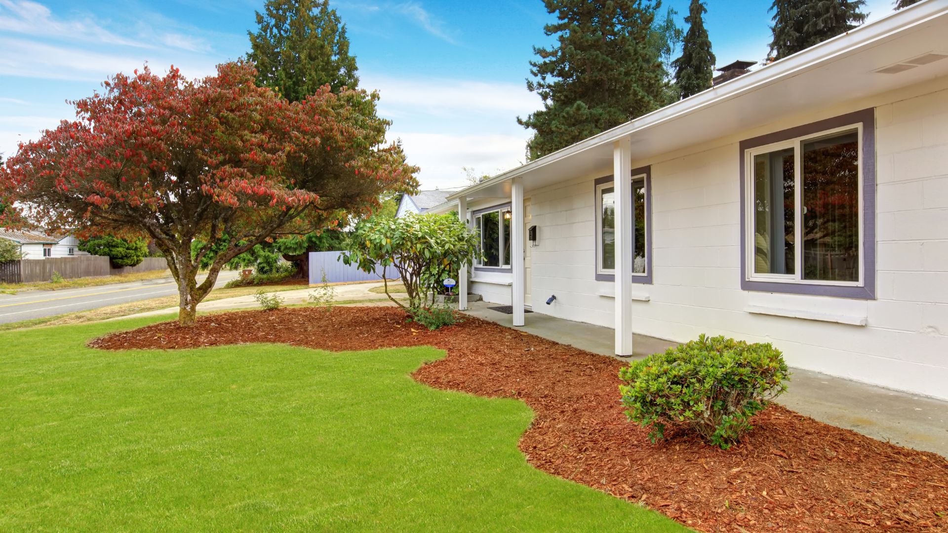 White house with red tree, green lawn, and brown mulch landscaping