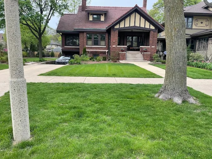 Brick bungalow with well-manicured lawn and large tree in residential neighborhood