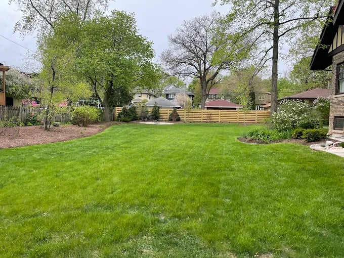 Lush green backyard with well-maintained lawn, trees, and wooden fence