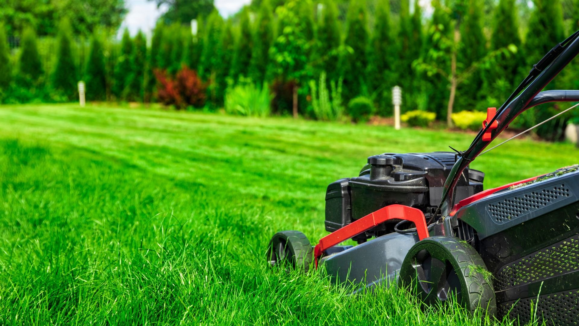 Lawn mower cutting green grass with trees and garden in background